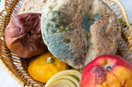 Fighting World Hunger With Post-Harvest Food Preservation Systems Image
